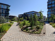 Wide-angle camera Oppo Find N5 - f/1.8, ISO 80, 1/1335s - News 25 09 Cameraphone vs. Foldable  review