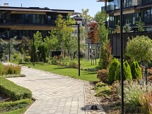 Telephoto camera Oppo Find N5 - f/2.7, ISO 50, 1/121s - News 25 09 Cameraphone vs. Foldable  review