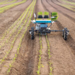 Artificial intelligence in farming: The fundamental difference between livestock and arable | Farm News