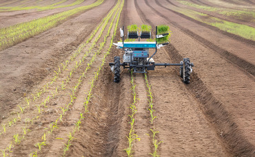 Artificial intelligence in farming: The fundamental difference between livestock and arable | Farm News