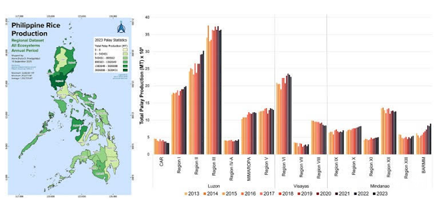 Philippines’ Rice Production Remains Stagnant Despite Government Interventions – Ateneo Scientists