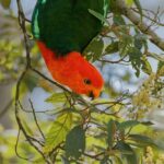 The Rise of Handheld News: How Mobile Devices are Changing Journalism