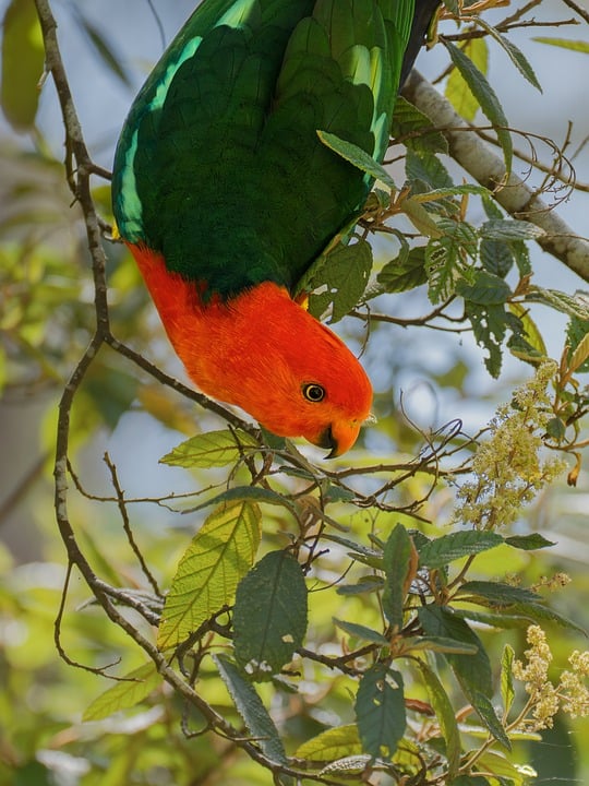 The Rise of Handheld News: How Mobile Devices are Changing Journalism